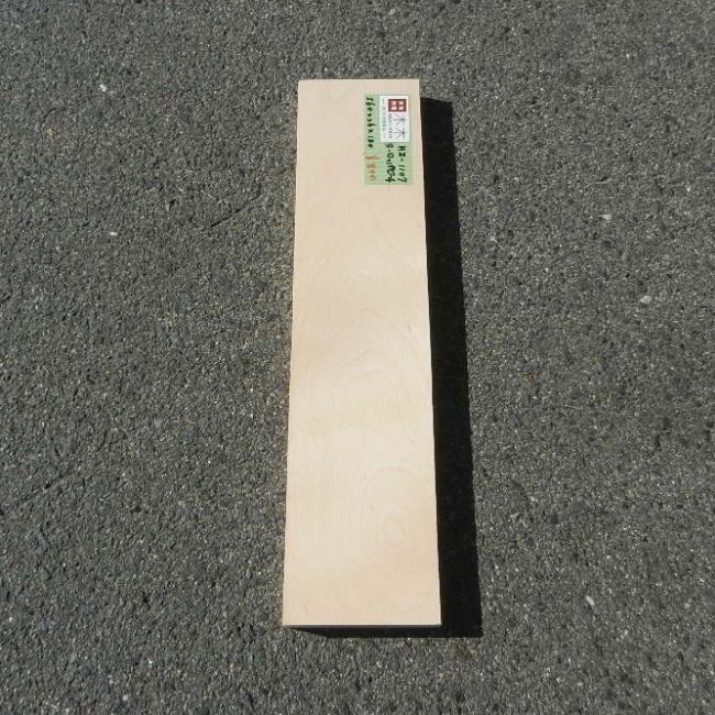 ヨーロッパビーチ HZ-1107