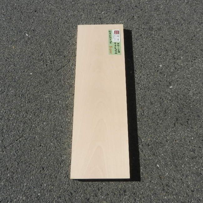 ヨーロッパビーチ HZ-1108