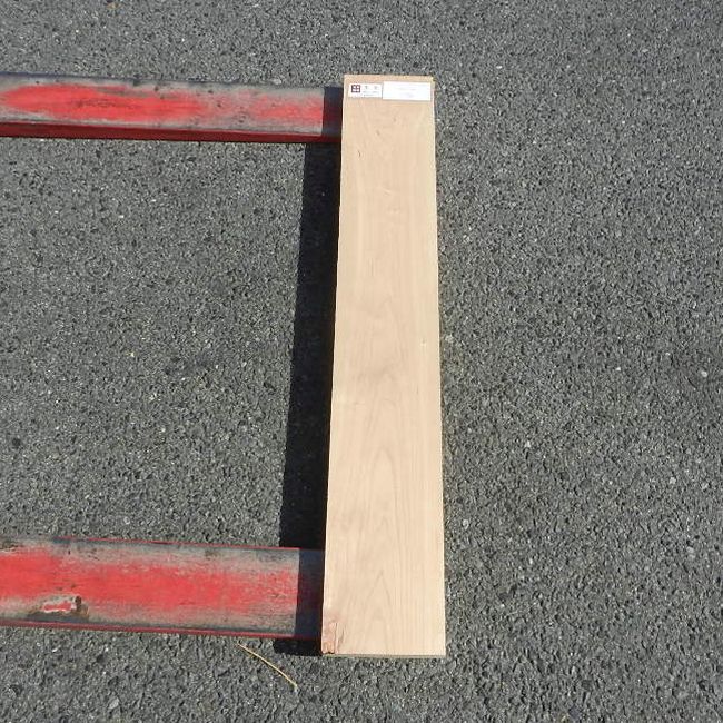 アメリカンブラックチェリー CHA-43