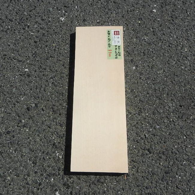 ヨーロッパビーチ HZ-694