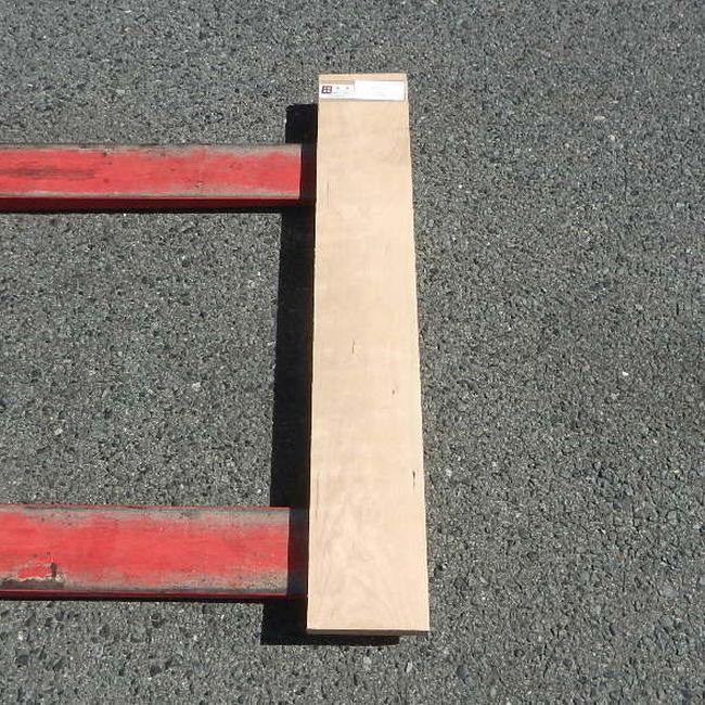 アメリカンブラックチェリー CHA-23