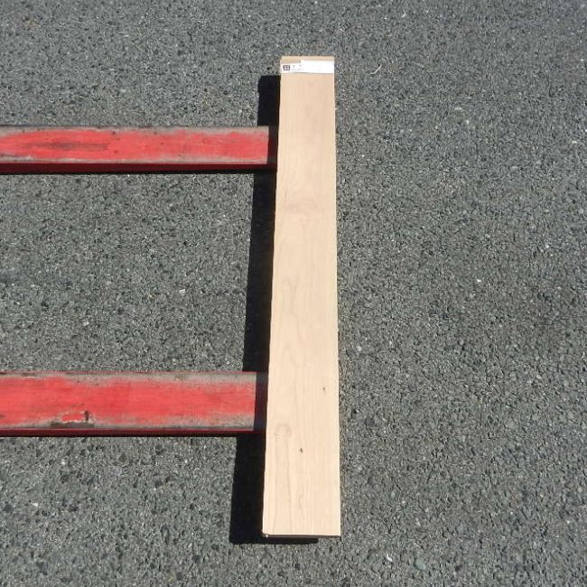 アメリカンブラックチェリー CHA-29