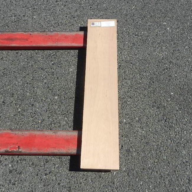 アメリカンブラックチェリー CHA-31