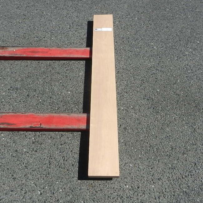 アメリカンブラックチェリー CHA-32