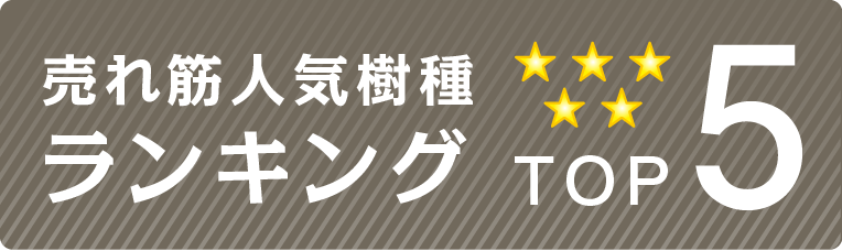 売れ筋人気樹種ランキング TOP5