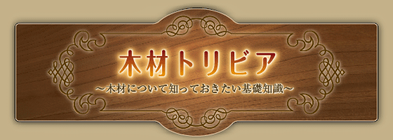 木材トリビア～木材について知っておきたい基礎知識～